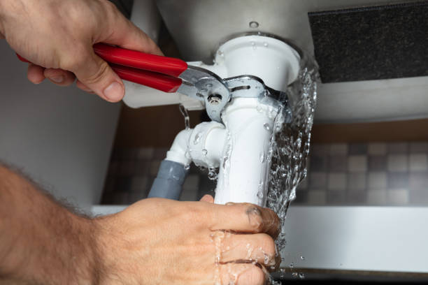 Best Flood damage cleanup  in Carrabelle, FL
