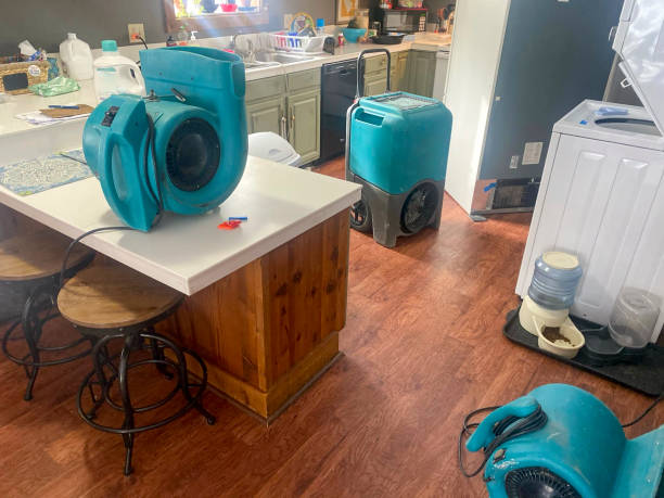  Carrabelle, FL Water damage restoration Pros