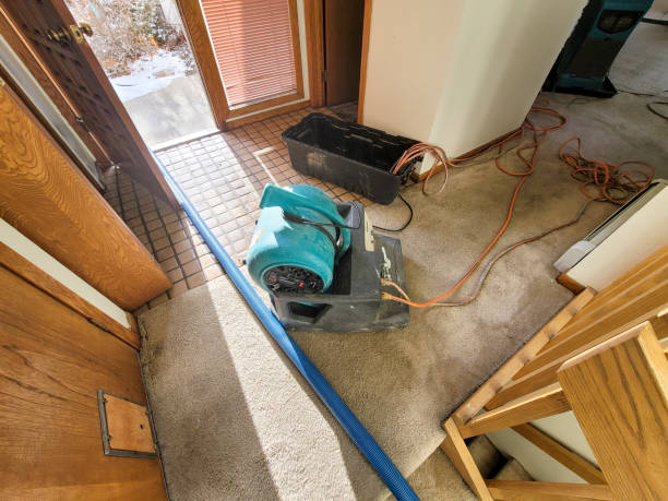 Best Water damage restoration specialists  in Carrabelle, FL