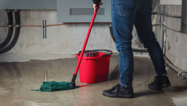 Best Water damage cleanup near me  in Carrabelle, FL