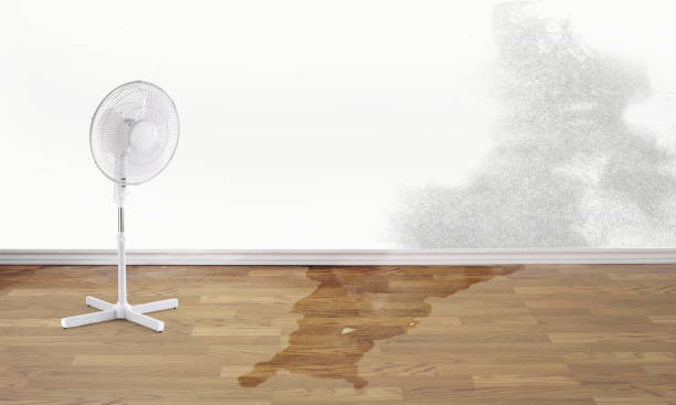 Professional Water damage restoration in FL