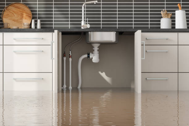 Best Flooded house restoration  in Carrabelle, FL