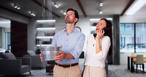 Best Mold removal after water damage  in Carrabelle, FL